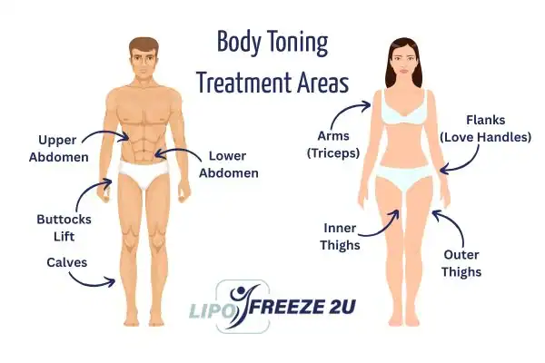 Graphic showing where you can have Body toning Treatment Stockport on your body